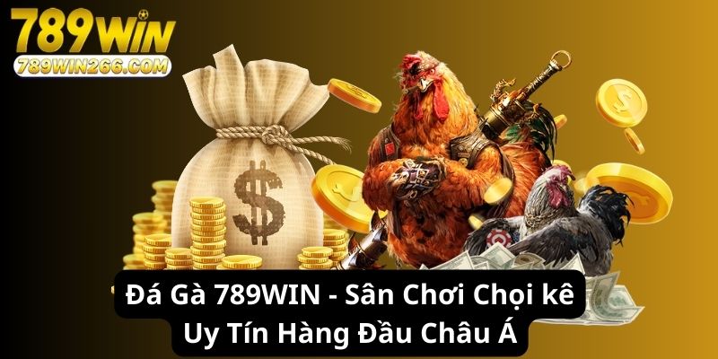 Đá Gà 789WIN - Sân Chơi Chọi kê Uy Tín Hàng Đầu Châu Á