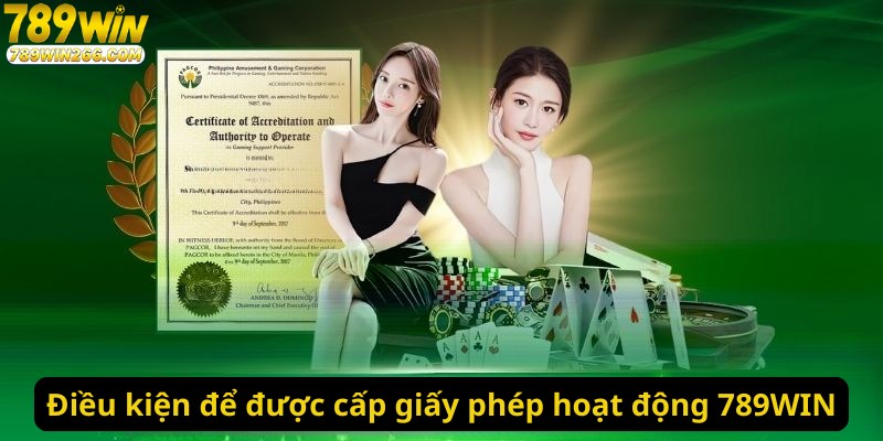 Điều kiện để được cấp giấy phép hoạt động 789WIN