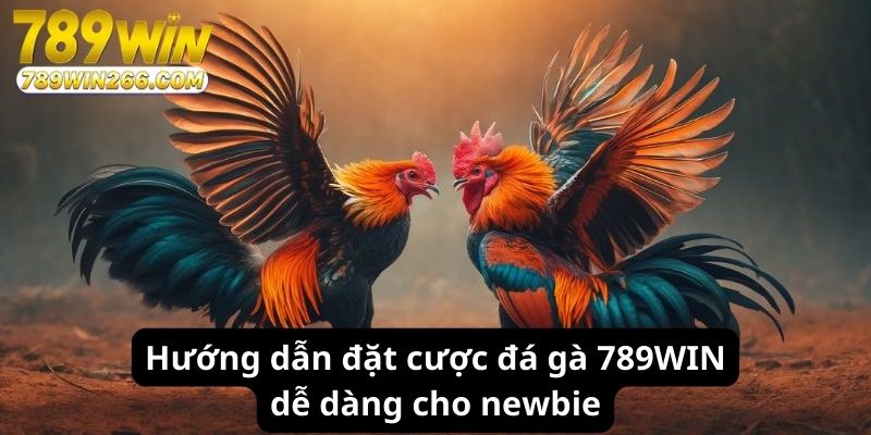 Hướng dẫn đặt cược đá gà 789WIN dễ dàng cho newbie