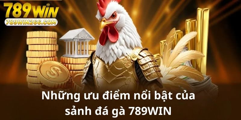 Những ưu điểm nổi bật của sảnh đá gà 789WIN