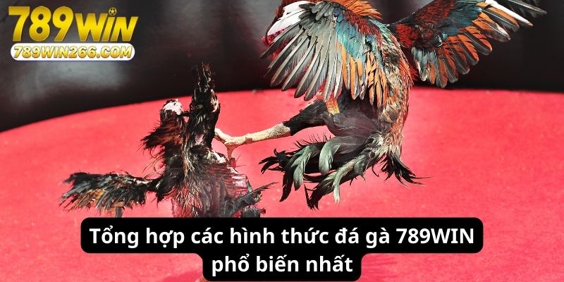 Tổng hợp các hình thức đá gà 789WIN phổ biến nhất